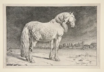 The Friesland Horse