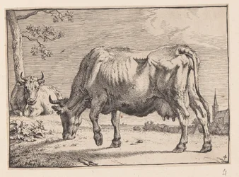 The Grazing Cow, from Various Oxen and Cows