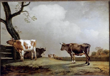The Meadow