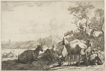 The Shepherd
