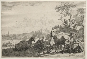 The Shepherd