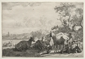 The Shepherd