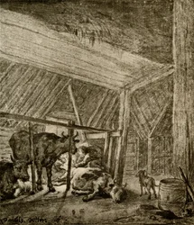 The calving cow