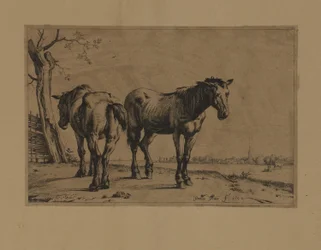 Two Horses