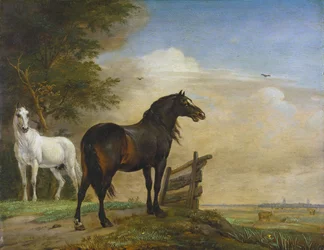 Two Horses near a Gate in the Meadow