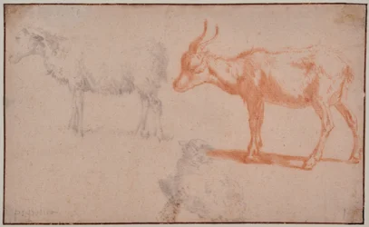 Two Sheep and a Goat