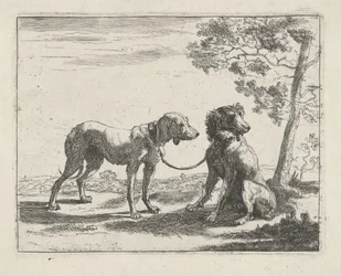 Two Dogs (series: Dogs)