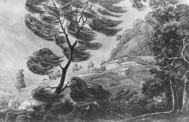 The Tornado