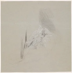 Study of Lace