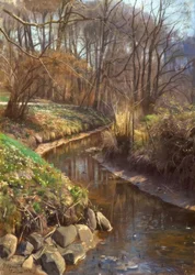 Spring by the Forest Stream