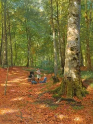 In the Forest Clearing