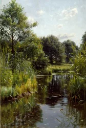 Reeds by the Lake