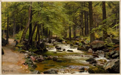Forest Stream in Spring