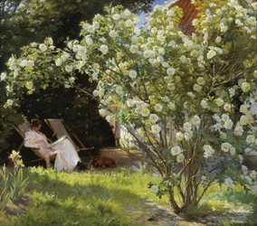 Roses. Marie Krøyer Seated in the Deckchair in the Garden by Mrs Bendsen