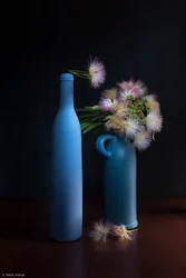 Botanical Blues and Pinks