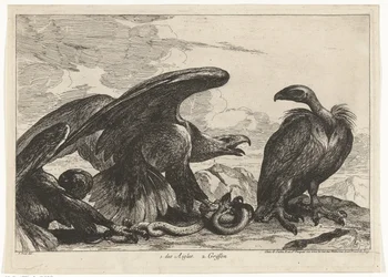 Vulture and an Eagle with Snake