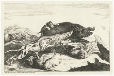 Dogs Hunting a Boar