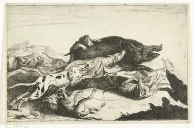 Dogs Hunting a Boar