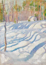 Sunlit Winter Landscape
