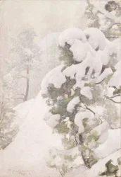 Winter Landscape