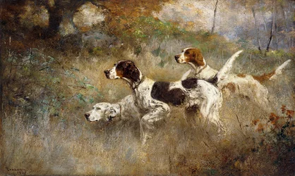 The Setters Three, Bob, Bill and Ginger on a triple point