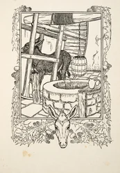 Drawing Water