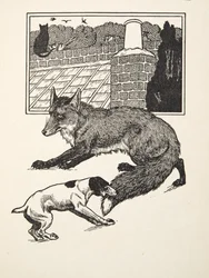 Fox Chasing