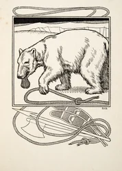 Sagacious Bruin