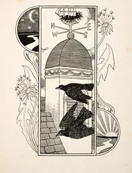 Strange Rooks
