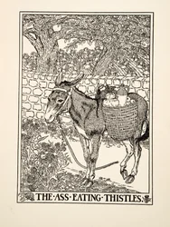 The Ass Eating Thistles, from A Hundred Fables of Aesop