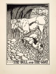 The Bull and the Goat, from A Hundred Fables of Aesop, published 1903