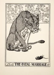 The Fatal Marriage, from A Hundred Fables of Aesop