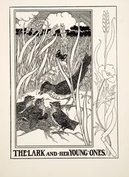 The Lark and Her Young Ones, from A Hundred Fables of Aesop, pub. 1903
