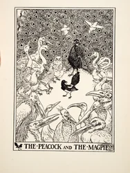The Peacock and the Magpie, from A Hundred Fables of Aesop, published 1903