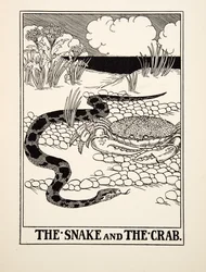 The Snake and the Crab, from A Hundred Fables of Aesop, published 1903
