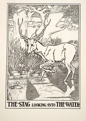 The Stag looking into the Water, from A Hundred Fables of Aesop, published 1903