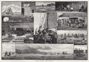 Fishing Industries, Oyster Dredging