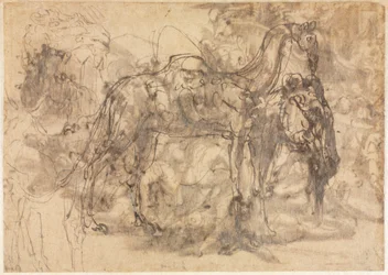 Sketches of Animals (verso)