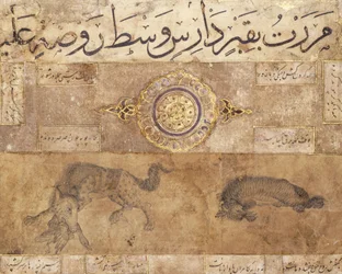 A Spotted Wolf and a Hyena