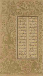 Grape Vine and Bird Design, Folio from Yusuf u-Zulaikha by Jami, Qazvin, Iran, Safavid Dynasty