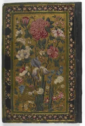 Back Cover of 