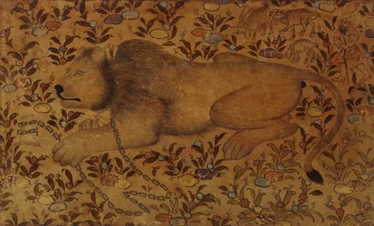 Study of a Lion