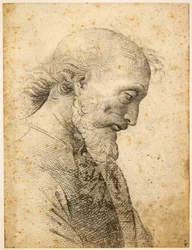 Bust of a Man
