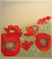 Poppy Field