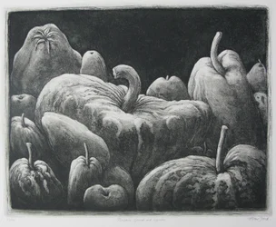 Pumpkins, Gourds and Squashes