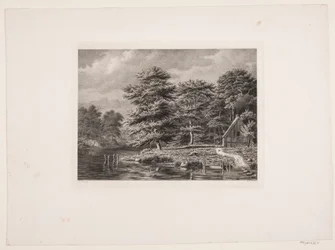 River Between Forested Banks