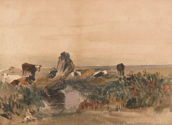 Cattle by a Stream