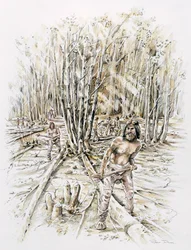 Uses of Flint - Coppicing