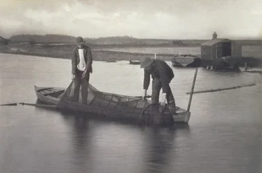 Taking up the Eel Net