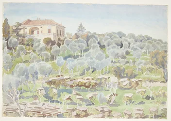Mountain Slope with Olive Trees and a Villa